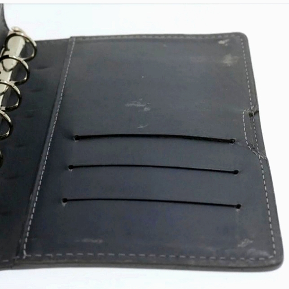 LOUIS VUITTON AUTHENTIC EPI LEATHER CYBER IRIDESCENT OLIVE GRN AGENDA /PASSPORT - Picture 9 of 14